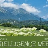 Summer School: Intelligence Week 2023- Plusdotazione